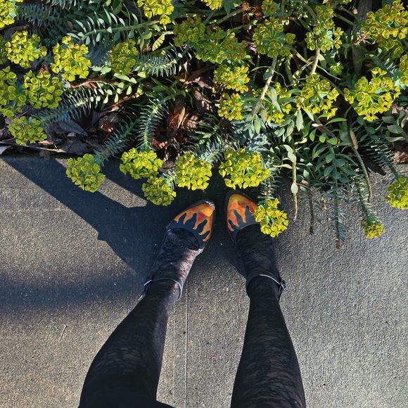 Meet your Posher, Betty - Picture 1 of 1